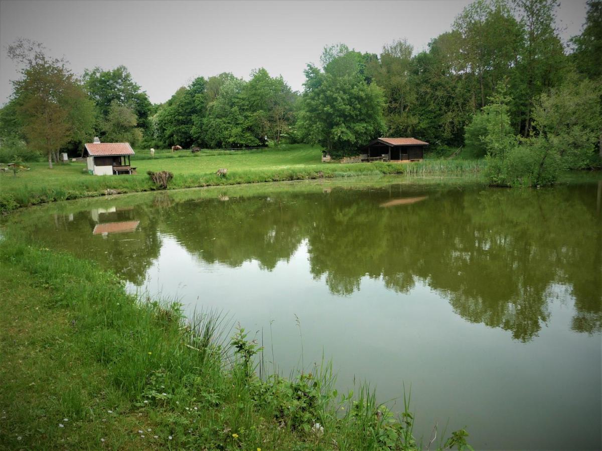 Ferienwohnung In Der Rhoen Willmars Экстерьер фото